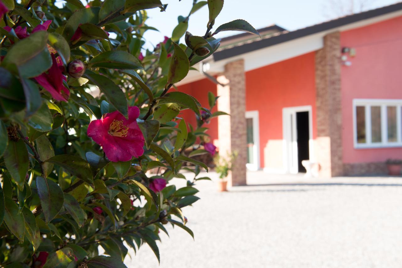 Tenuta La Vigna Malgesso Eksteriør bilde